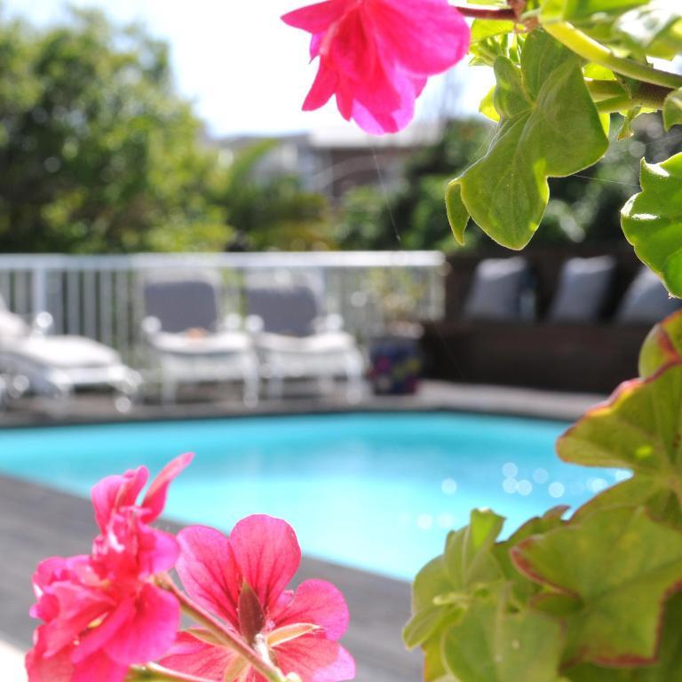 The Beach House Port Alfred Zewnętrze zdjęcie